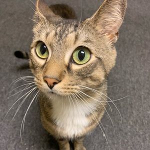 Meet your Posher, Zee